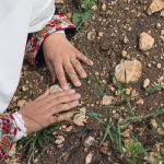 Muslim woman visiting grave in cemetery